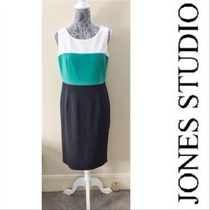 Jones Studio Colorblock Dress